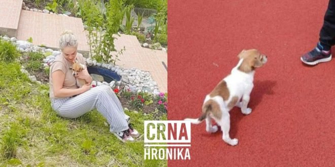 Nestalo štene u Sarajevu! Vlasnica iz Austrije nudi 500 KM nagrade: “Srce mi puca, pomozite mi!”