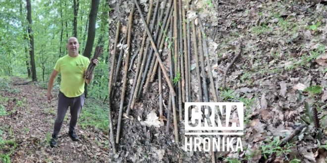 OPASNOST U ŠUMAMA KOD KLOKOTNICE: Postavljene smrtonosne zamke za vozače kvadova i četverotočkaša