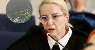 Sebija Izetbegović UPOZORAVA: Sarajevo u OPASNOSTI, Novi virus na pomolu zbog najezde pacova!?