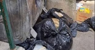 Sramota u Sarajevu: Ostatke kurbana bacili pored kontejnera