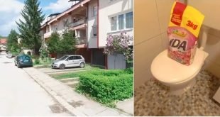 Stanarka Dobrinje pronašla pacova u WC šolji, slični slučajevi i na Alipašinom Polju