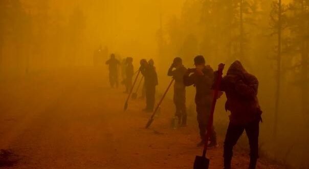 Alarmantna upozorenja: Svijet ulazi u eru ekstremnih vremenskih nepogoda zbog klimatskih promjena